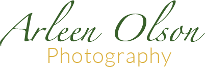 Arleen Olson Photography Logo